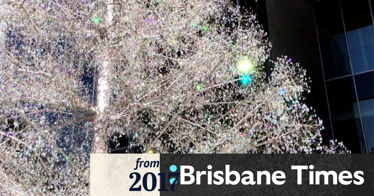 Video World's most beautiful Christmas tree goes up in Tokyo